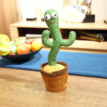 Laden Sie das Bild in den Galerie-Viewer, Tanzender Wunderkaktus
