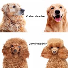 Laden Sie das Bild in den Galerie-Viewer, Tierhaar Zauberbürste