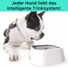 Laden Sie das Bild in den Galerie-Viewer, Magischer Wasserspender
