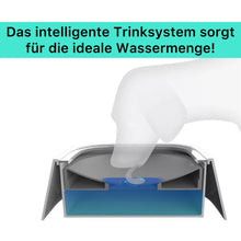 Laden Sie das Bild in den Galerie-Viewer, Magischer Wasserspender